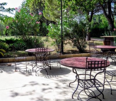 Oasis du Saule